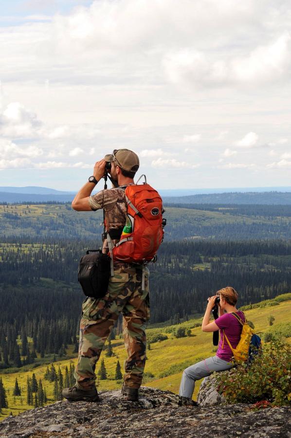 Caribou Lodge Alaska Talkeetna Luaran gambar