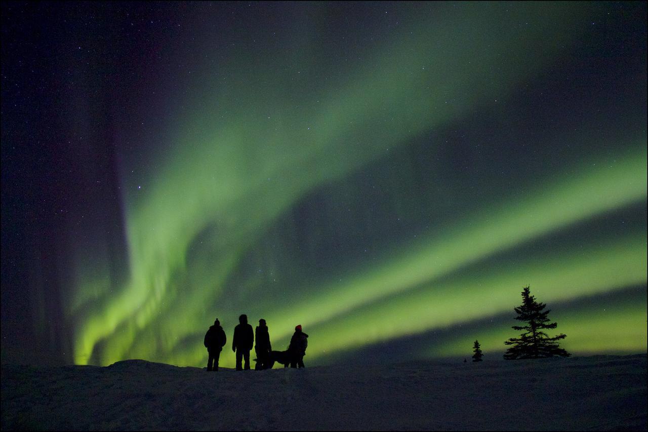 Caribou Lodge Alaska Talkeetna Luaran gambar