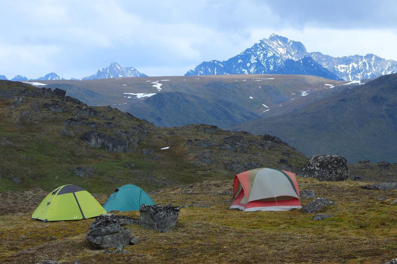 Caribou Lodge Alaska Talkeetna Luaran gambar