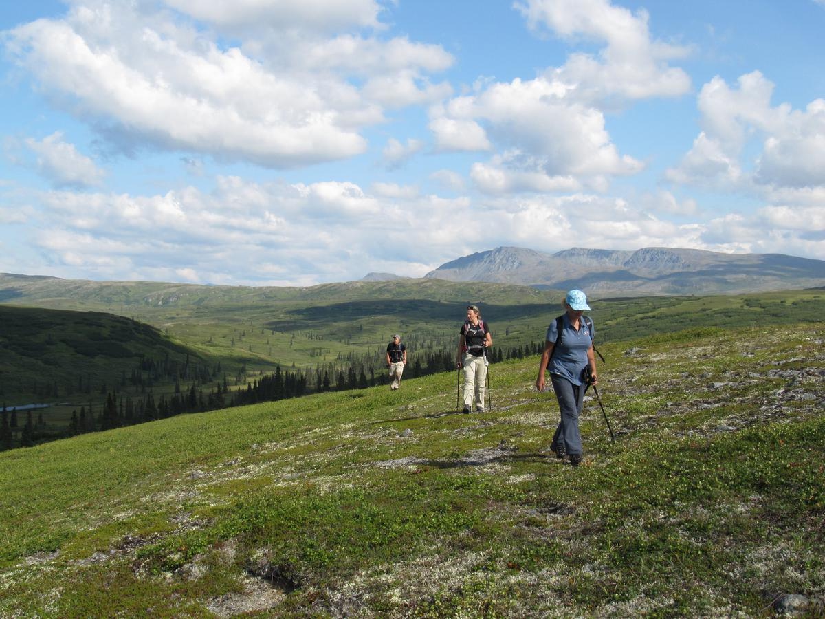 Caribou Lodge Alaska Talkeetna Luaran gambar