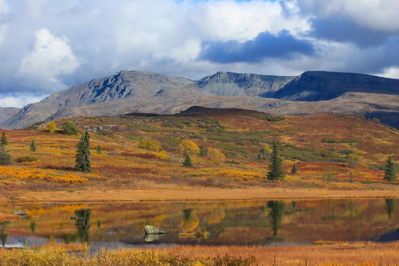 Caribou Lodge Alaska Talkeetna Luaran gambar