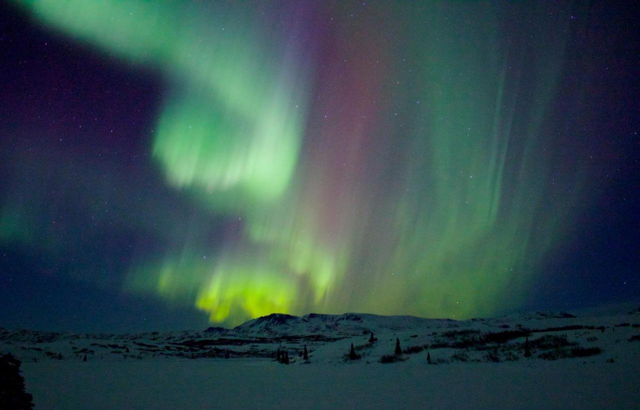 Caribou Lodge Alaska Talkeetna Luaran gambar