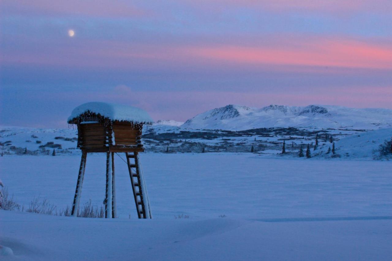 Caribou Lodge Alaska Talkeetna Luaran gambar