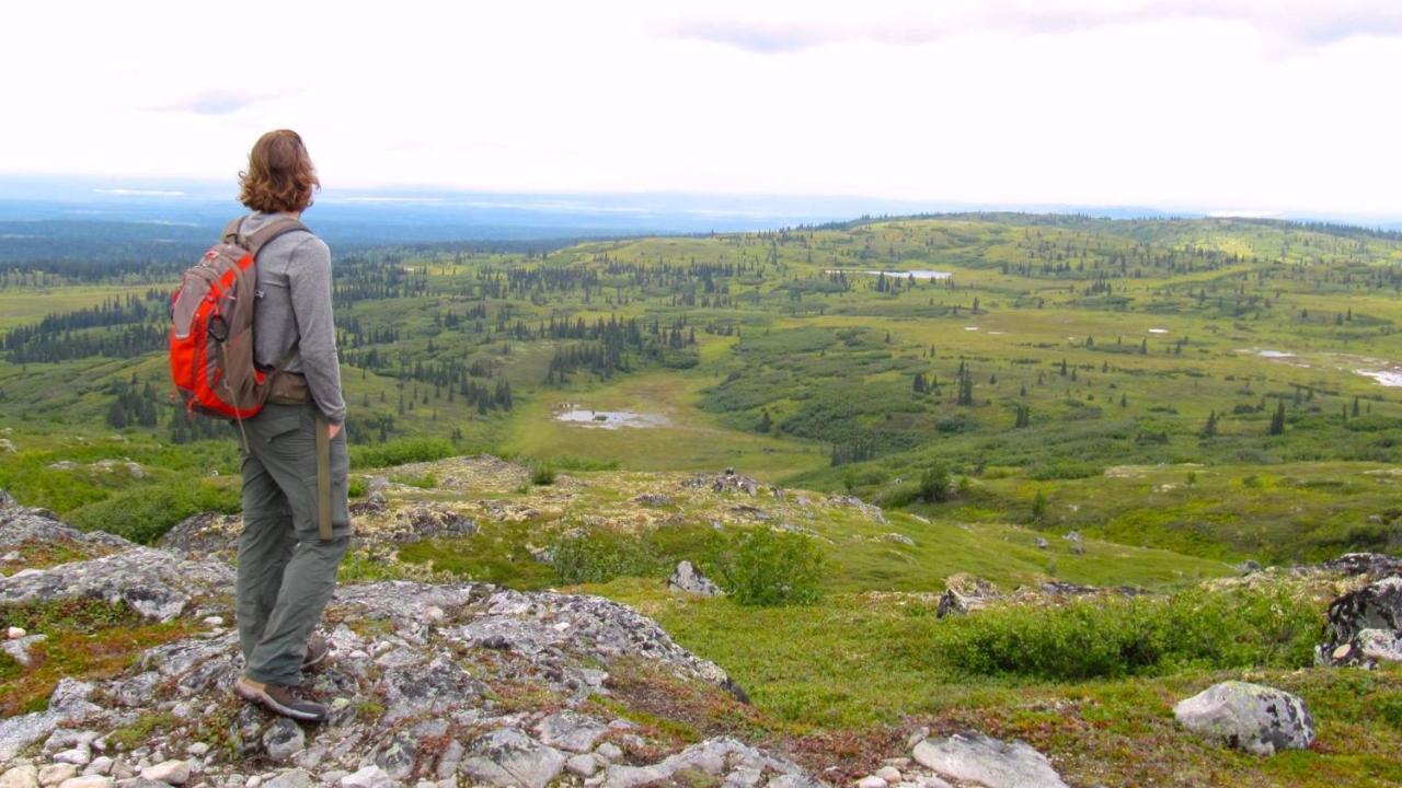 Caribou Lodge Alaska Talkeetna Luaran gambar
