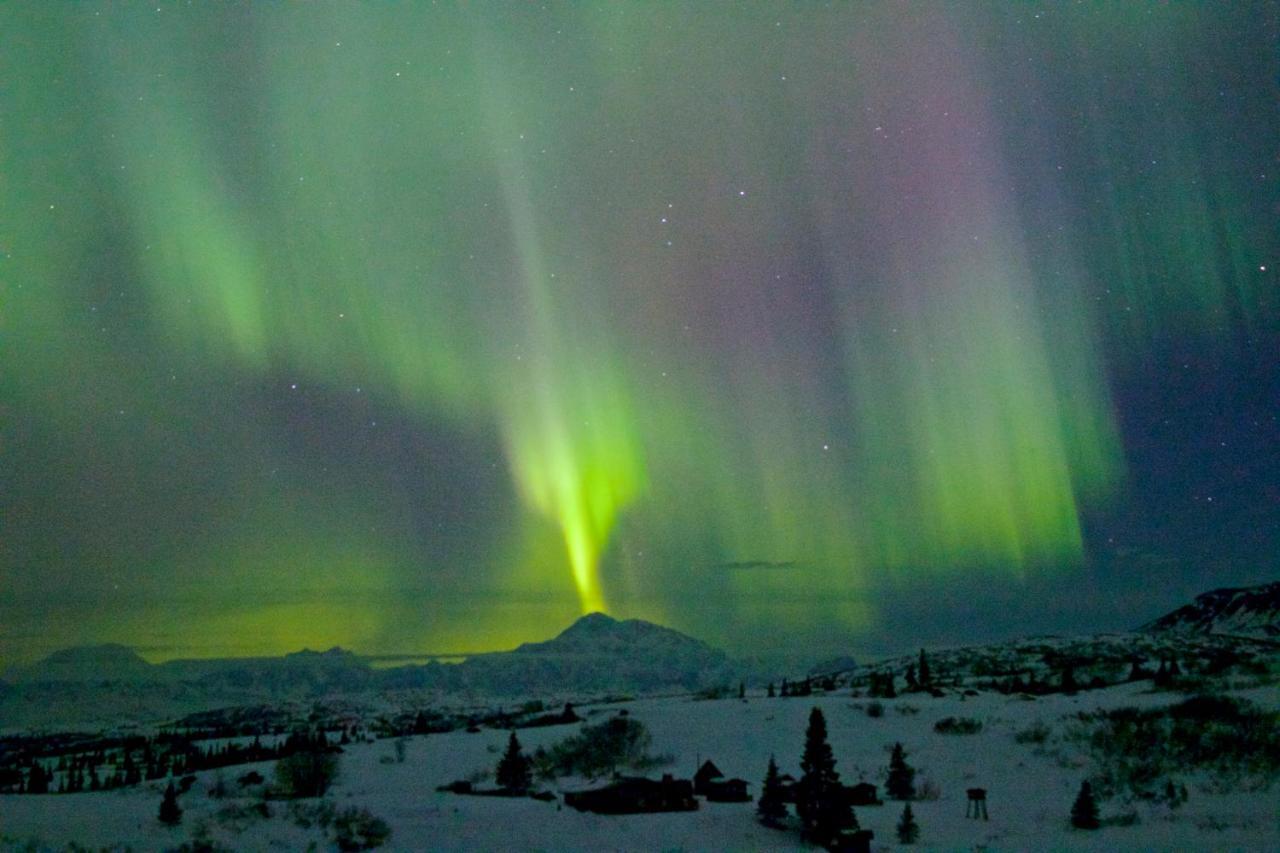 Caribou Lodge Alaska Talkeetna Luaran gambar