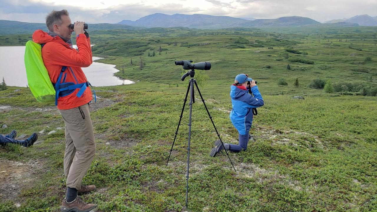 Caribou Lodge Alaska Talkeetna Luaran gambar