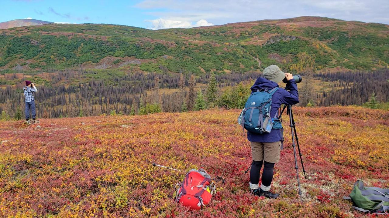 Caribou Lodge Alaska Talkeetna Luaran gambar