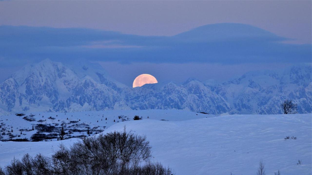Caribou Lodge Alaska Talkeetna Luaran gambar
