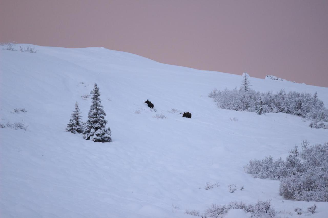 Caribou Lodge Alaska Talkeetna Luaran gambar