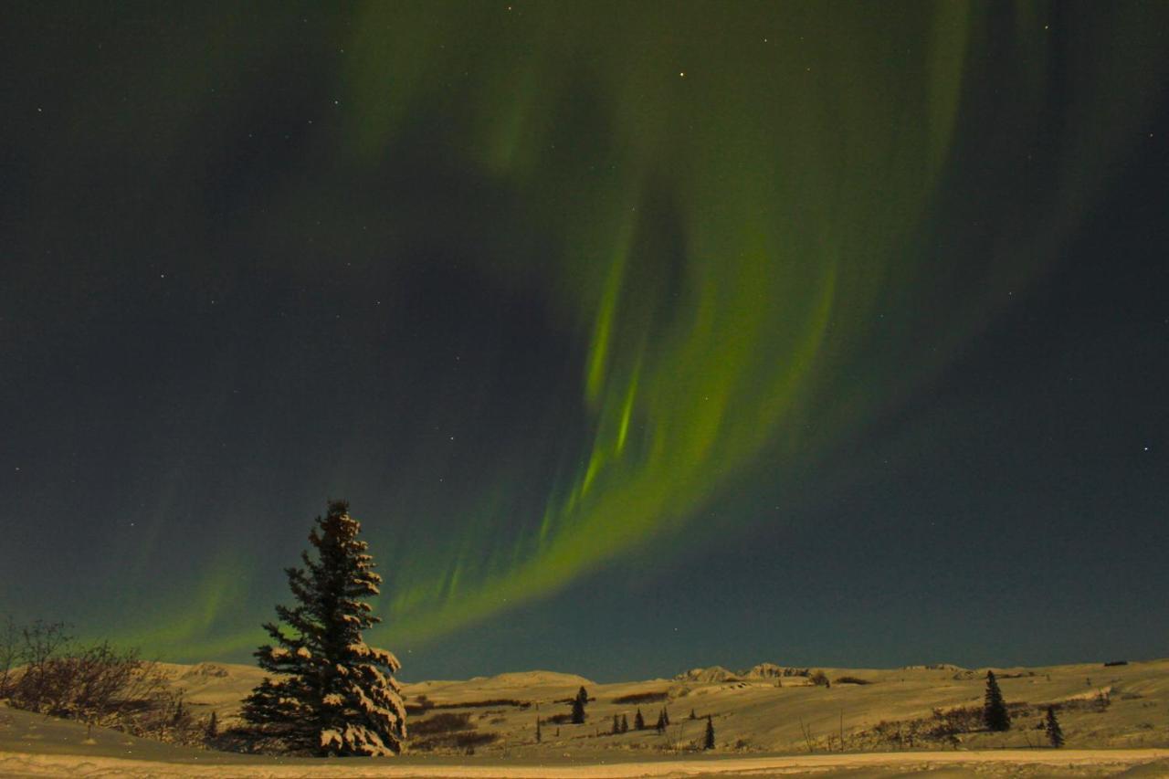 Caribou Lodge Alaska Talkeetna Luaran gambar