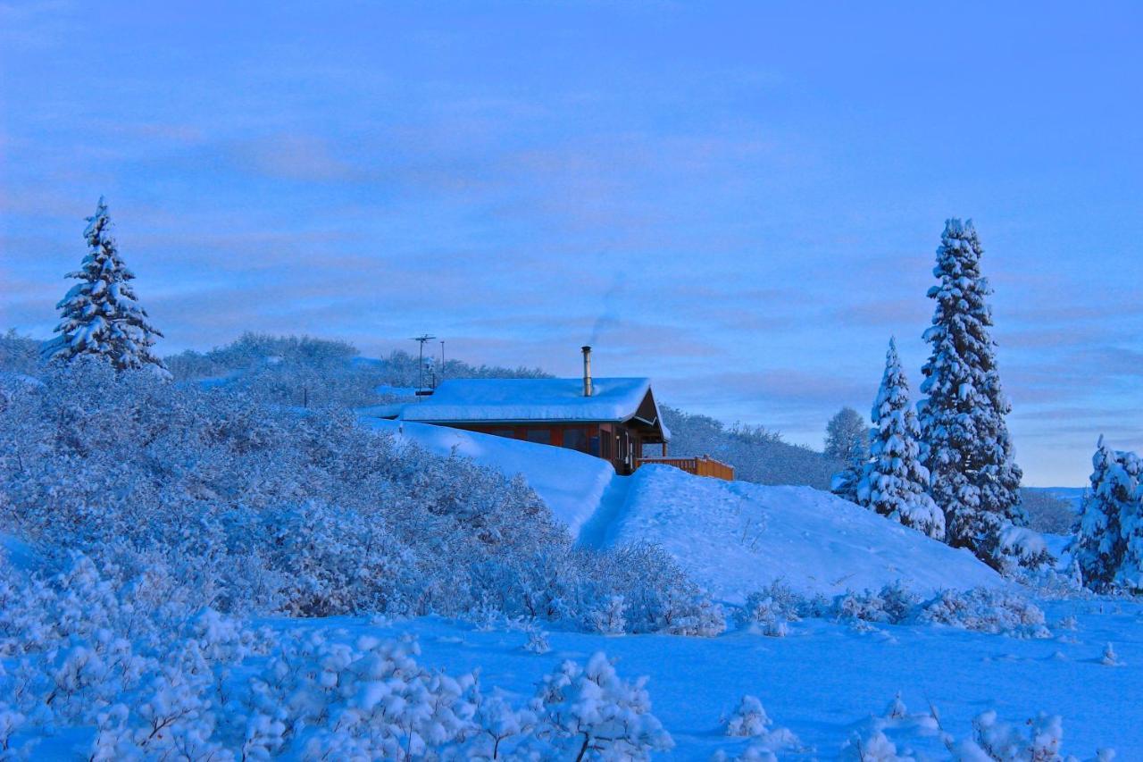 Caribou Lodge Alaska Talkeetna Luaran gambar